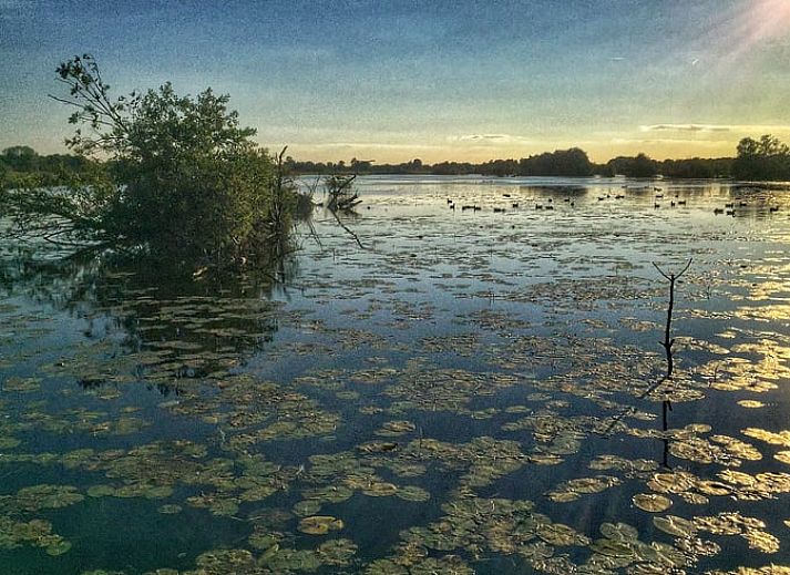 Gezellige keuken in Vakantiehuis in Kalenberg, Noordwest Overijssel, Overijssel.