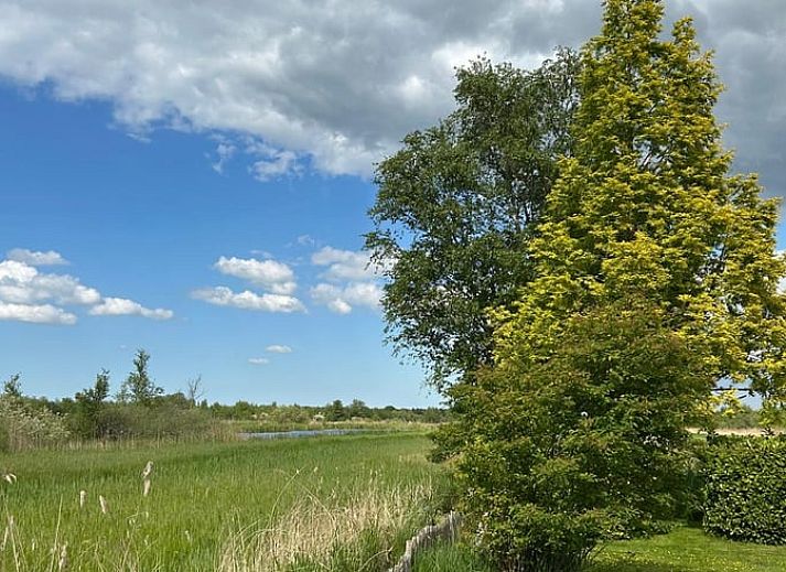 Gezellige binnenruimte van Vakantiehuis in Kalenberg, Overijssel, met moderne inrichting en groene accenten.