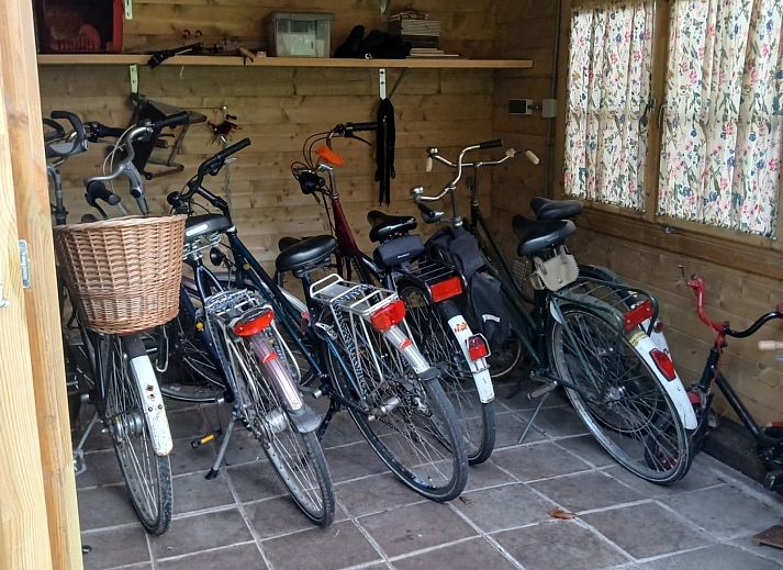 Verblijf 551619 - Vakantiewoning Noordwest Overijssel - OV816
