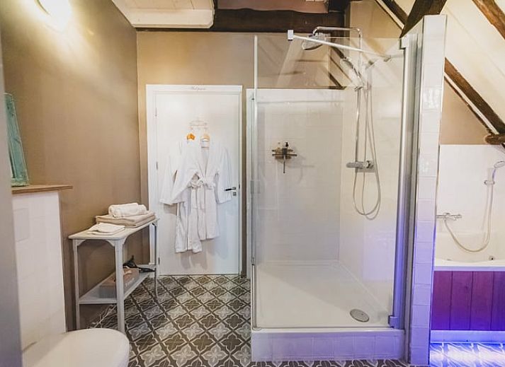 Zonnig terras van Vakantiehuis in Sint Jansklooster, Overijssel, met comfortabele zitgelegenheid.