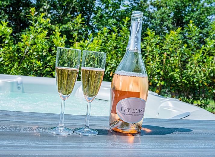 Guest house 551715 - Holiday property Noordwest Overijssel - OV778