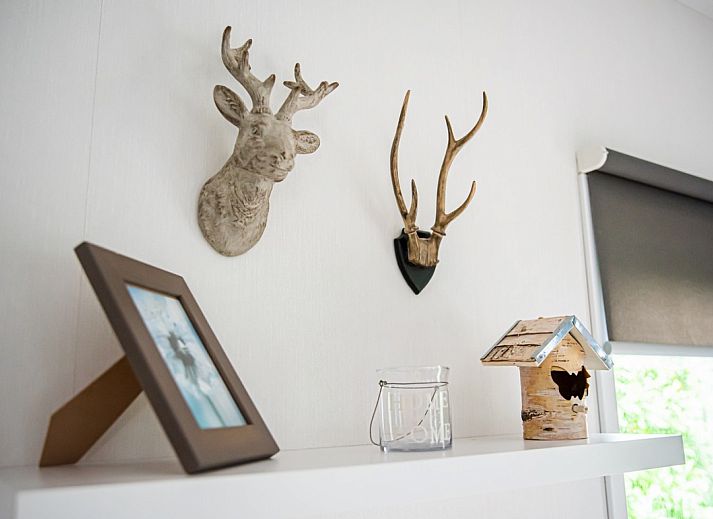 Guest house 551715 - Holiday property Noordwest Overijssel - OV778