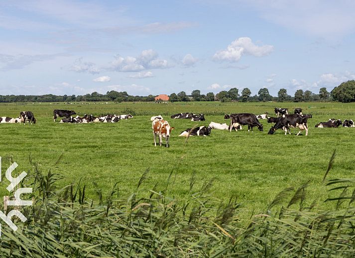 Guest house 551716 - Holiday property Noordwest Overijssel - OV575