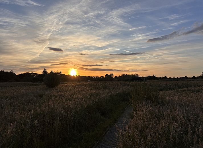 Unterkunft 551719 - Ferienhaus Noordwest Overijssel - OV787