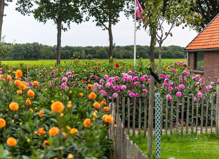 Unterkunft 551719 - Ferienhaus Noordwest Overijssel - OV787