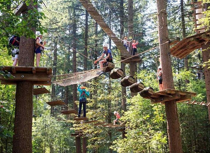 Wilde reeen in de omgeving van OV400 vakantiehuis in Ossenzijl, Noordwest Overijssel, Overijssel.