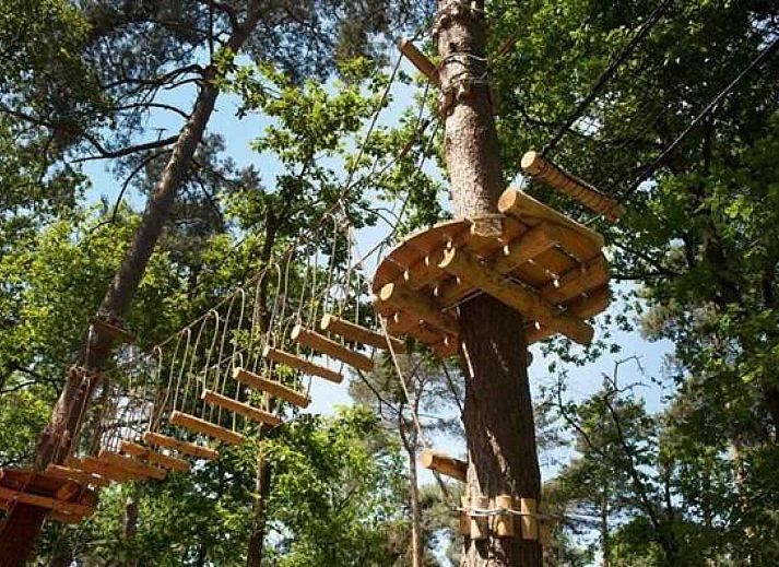 Abenteuerkletterroute in der Natur in der Naehe des Ferienhauses OV271, Tuk, Nordwest Overijssel.