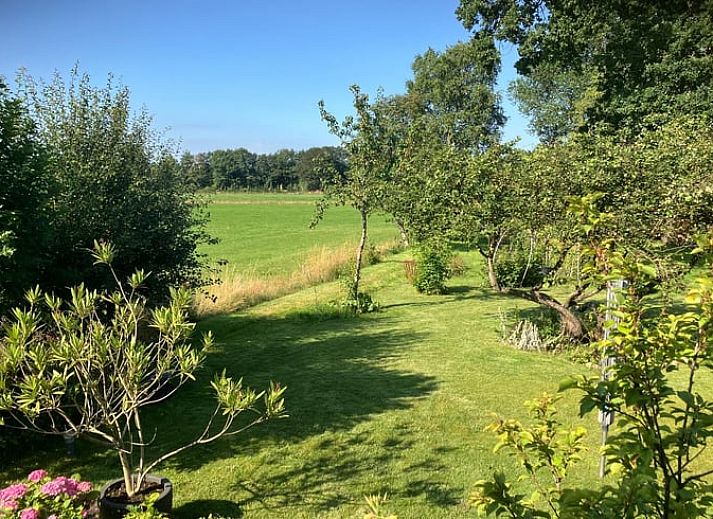 Ferienhaus in Tuk mit charmantem Garten in Nordwest-Overijssel, bietet ein rustikales Ferienerlebnis.