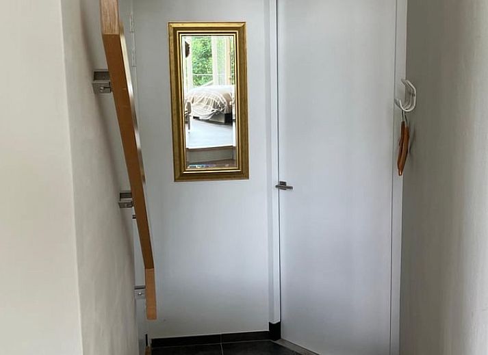 Blick von der Terrasse des Ferienhauses in Tuk, umgeben von ueppiger Natur im Nordwesten von Overijssel.