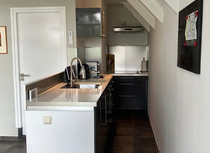 Blick von der Terrasse des Ferienhauses in Tuk, umgeben von ueppiger Natur im Nordwesten von Overijssel.