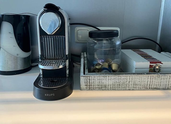 Blick von der Terrasse des Ferienhauses in Tuk, umgeben von ueppiger Natur im Nordwesten von Overijssel.