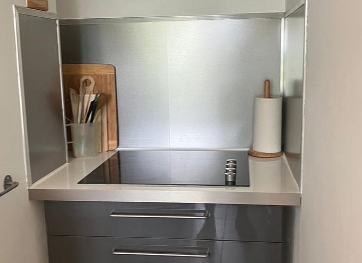 Blick von der Terrasse des Ferienhauses in Tuk, umgeben von ueppiger Natur im Nordwesten von Overijssel.