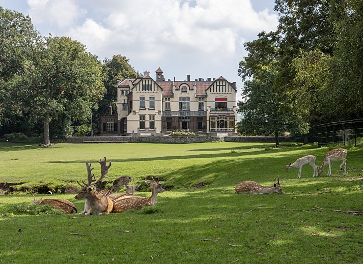 Ferienhaus OV735 in Tuk, Nordwest Overijssel, umgeben von gruener Natur und modernem Design, ideal fuer einen entspannten Aufenthalt.