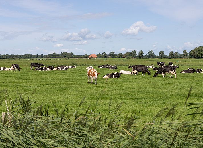 Lichtdurchfluteter Innenraum des Ferienhauses OV735 in Tuk, Overijssel, mit Blick auf den gruenen Garten und moderne Pendelleuchten.