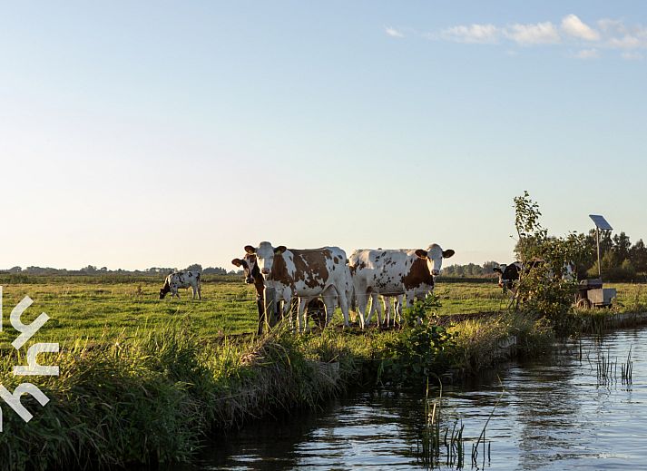 Malerische Aussicht auf Blokzijl mit Booten und historischen Gebaeuden vom Ferienhaus OV573 in Nordwest Overijssel, Overijssel.