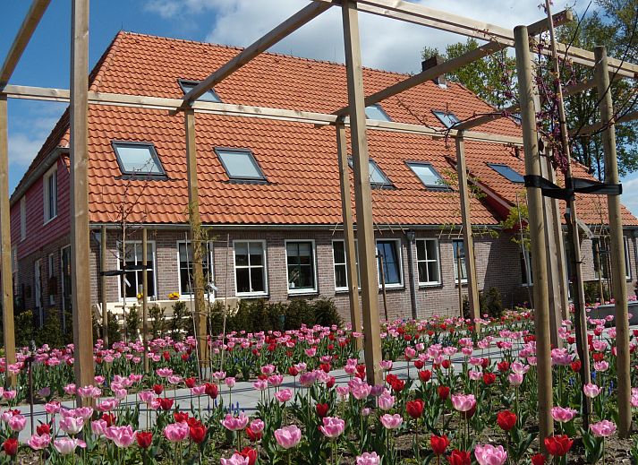 Guest house 552308 - Holiday property Noordwest Overijssel - OV635