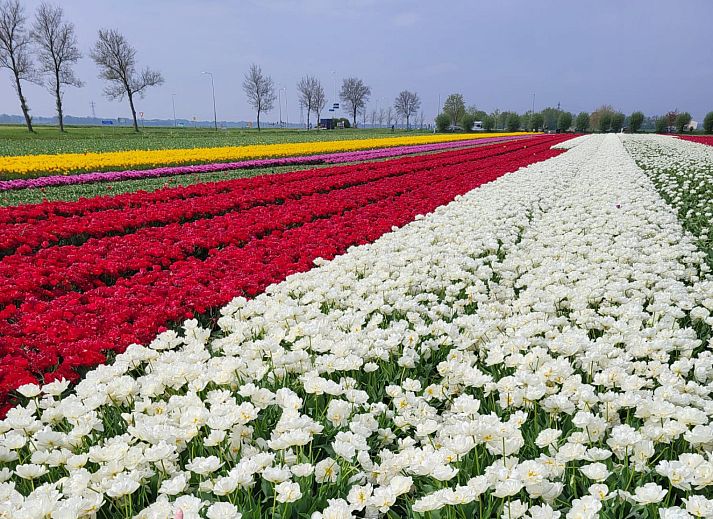 Gezellige binnenruimte van OV685 vakantiehuis in Blokzijl, Overijssel met comfortabele zitkamer.