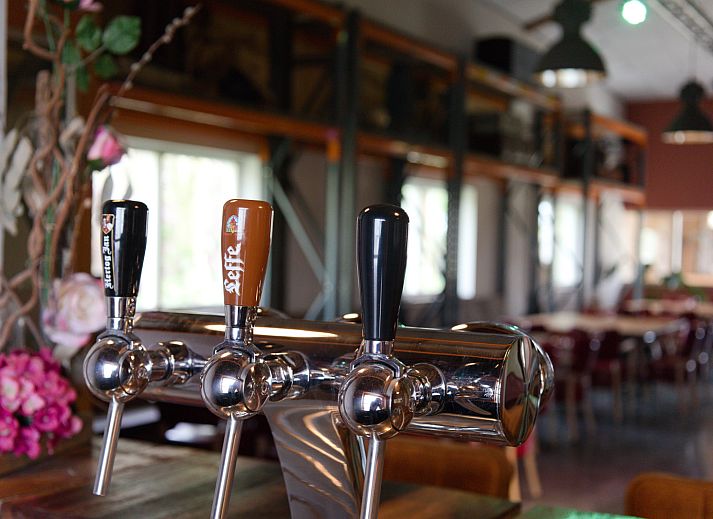 Playground at OV669 vacation home in Blokzijl, ideal for children in Northwest Overijssel.