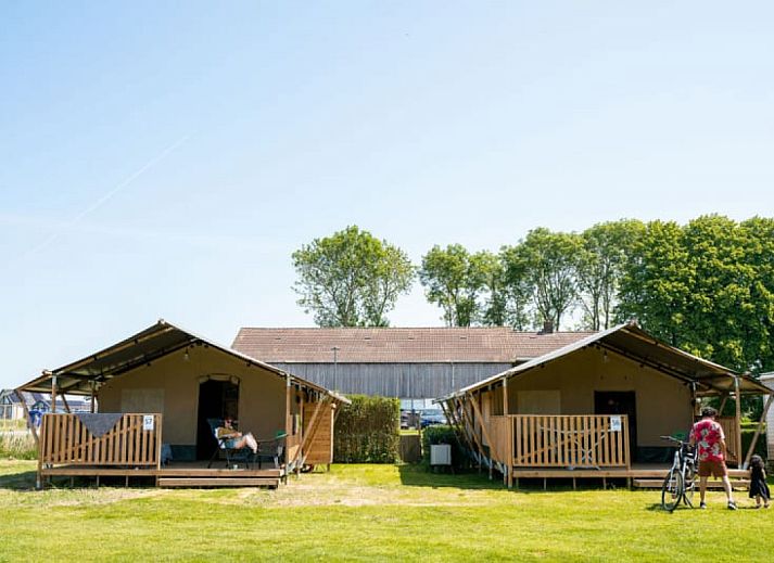Unterkunft 552324 • Zelthaus Noordwest Overijssel • Safaritent + sanitair