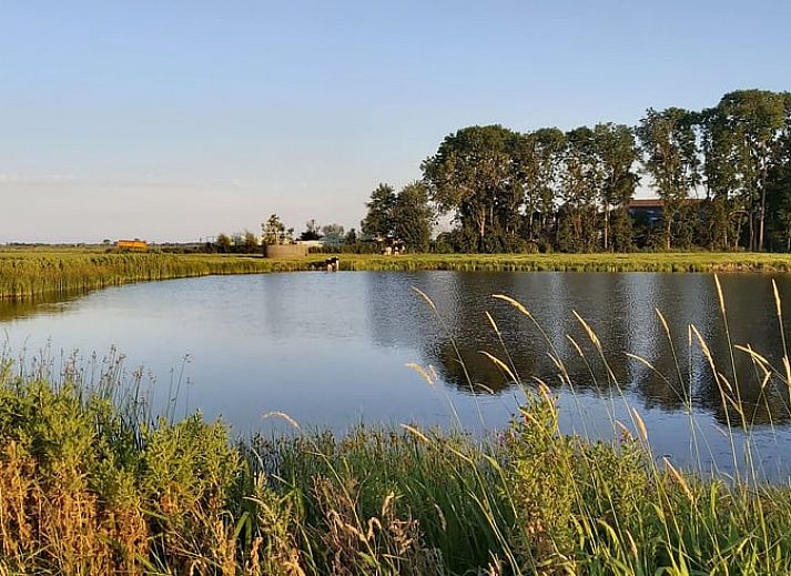 Unterkunft 552326 - Ferienhaus Noordwest Overijssel - Huisje in Blokzijl