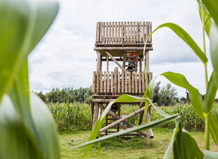 Speeltoren bij OV668 vakantiehuis in Blokzijl, omgeven door groene natuur.