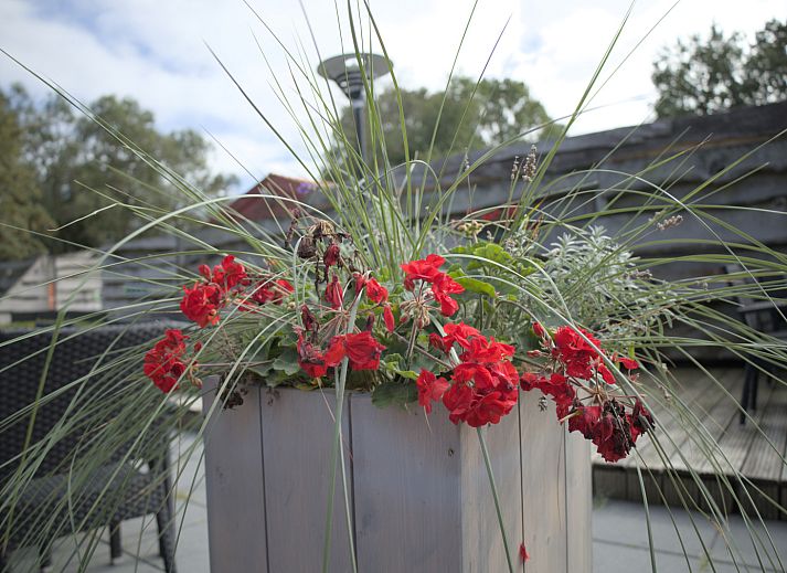 Guest house 552328 - Holiday property Noordwest Overijssel - OV671