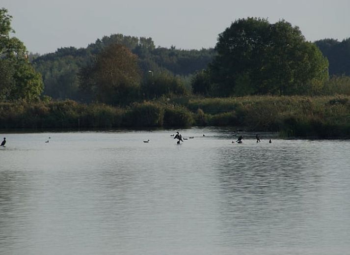 Moderne keuken met uitzicht op de rivier in Vakantiehuis in IJsselmuiden, Overijssel.