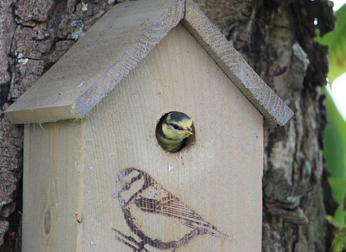 Modern living room in Holiday home in IJsselmuiden overlooking the water, Northwest Overijssel.