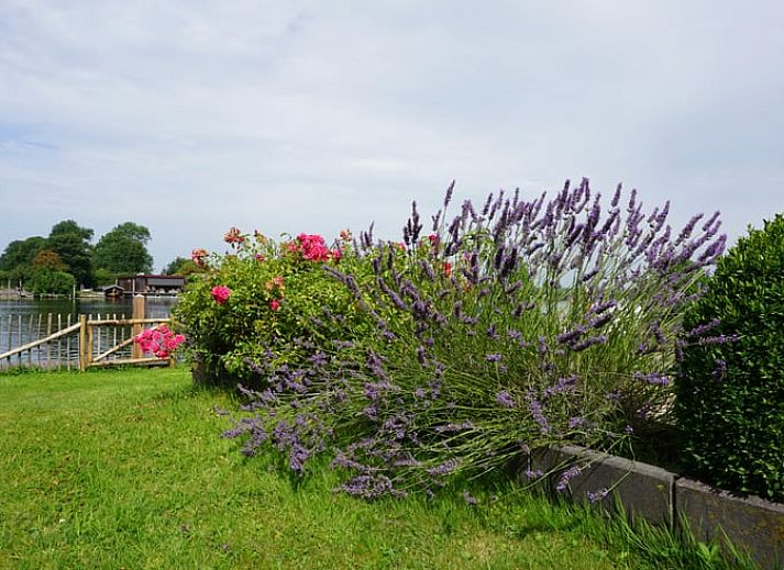 Unterkunft 552409 - Ferienhaus Noordwest Overijssel - Huisje in IJsselmuiden