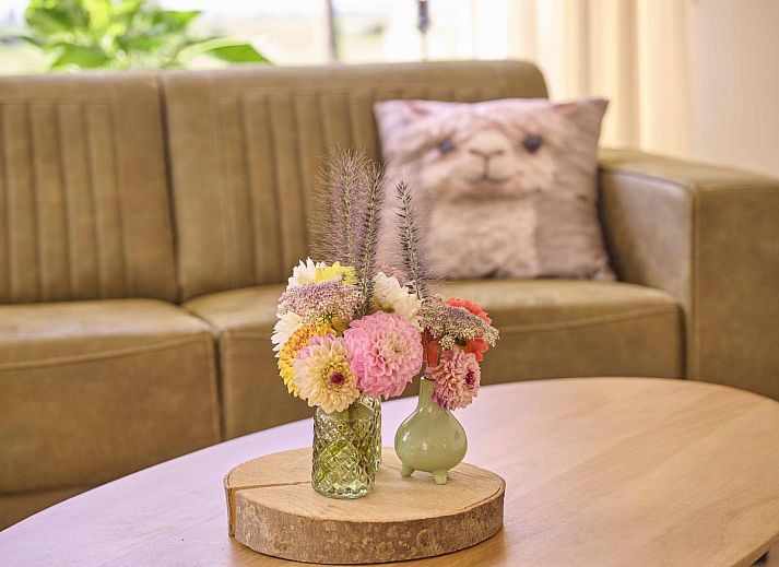 Moderne keuken in Alpa Casa vakantiehuis, Rouveen, Overijssel met uitzicht op de landelijke omgeving.