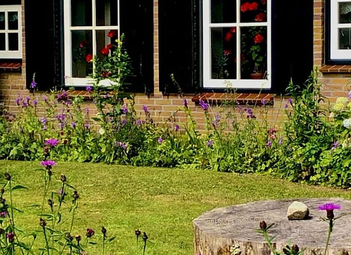 Unterkunft 552908 - Ferienhaus Noordwest Overijssel - Vakantiehuis in Eesveen in Noordwest-Overijssel