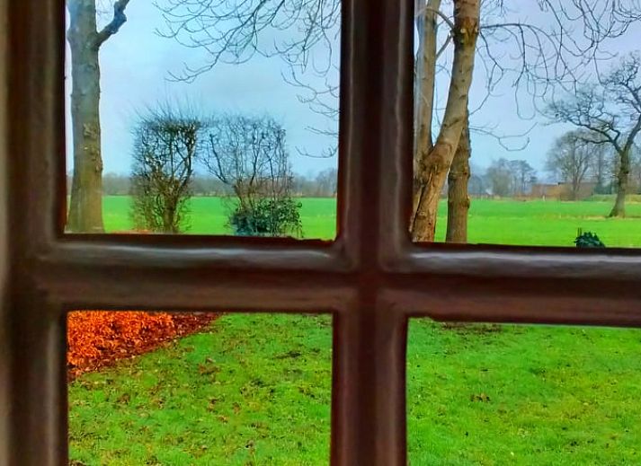 Autumn leaves at Cottage in Eesveen, beautiful natural setting in Northwest Overijssel.