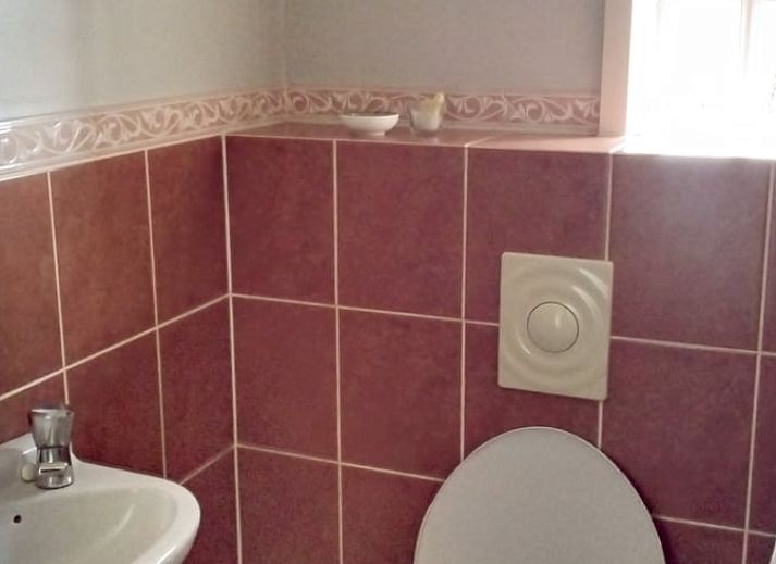 Autumn leaves at Cottage in Eesveen, beautiful natural setting in Northwest Overijssel.