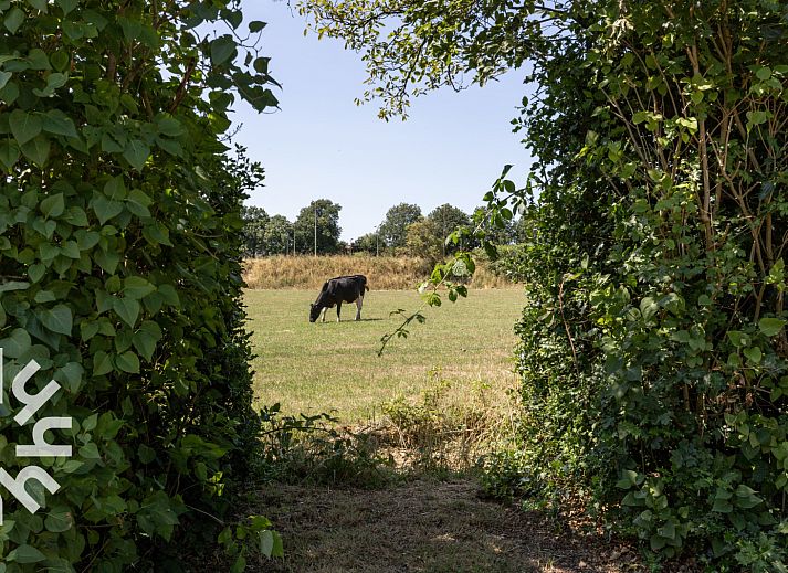 Gemuetliches Wohnzimmer von OV533 in Eesveen, mit bequemen Sesseln und einem Holzofen.