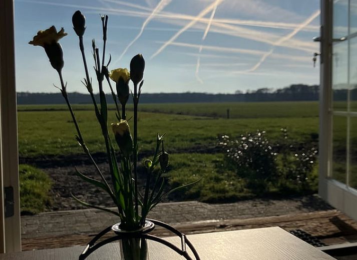 Guest house 552918 • Holiday property Noordwest Overijssel • Vakantiehuisje in Eesveen