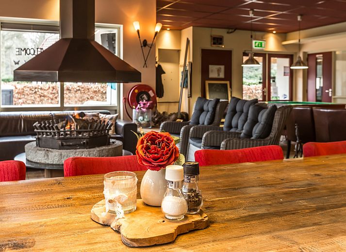 Guest house 552920 - Holiday property Noordwest Overijssel - «Residence de Eese 20»