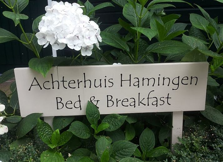 Moderne keuken in Vakantiehuis in Hamingen, Noordwest Overijssel. Voorzien van alle gemakken voor een comfortabel verblijf in deze vakantiewoning.