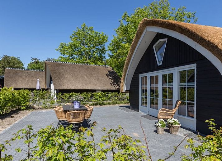 Ferienhaus in Baars mit grosser Terrasse und Reetdach, im gruenen Overijssel gelegen.