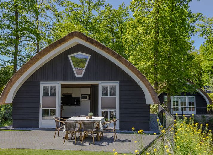 Ferienhaus in Baars mit grosser Terrasse und Reetdach, im gruenen Overijssel gelegen.