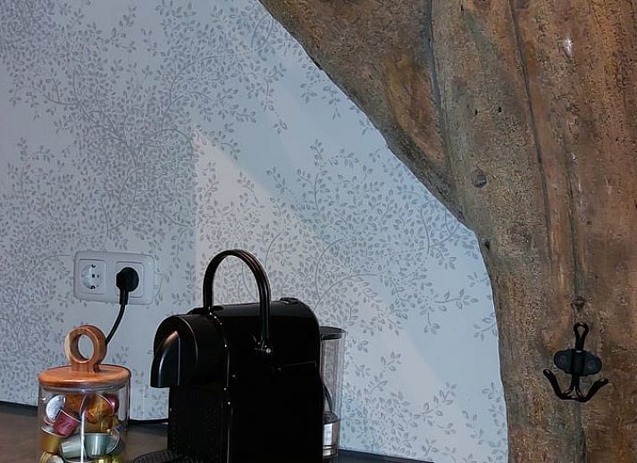 Unterkunft 553305 - Ferienhaus Noordwest Overijssel - Vakantiehuis in Staphorst