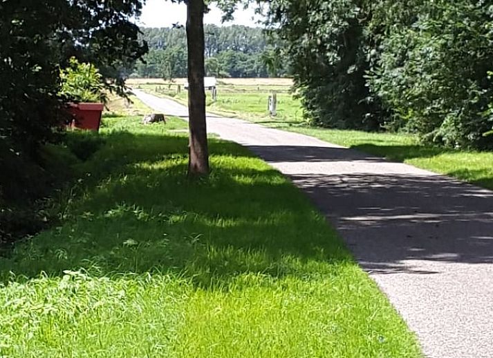 Unterkunft 553305 - Ferienhaus Noordwest Overijssel - Vakantiehuis in Staphorst