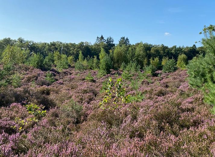 Rustieke keukenhoek in Vakantiehuisje in Staphorst, Noordwest Overijssel, met houten kast en koffiezetapparaat.
