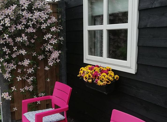 Guest house 553406 - Holiday property Noordwest Overijssel - Vakantiehuisje in Zalk
