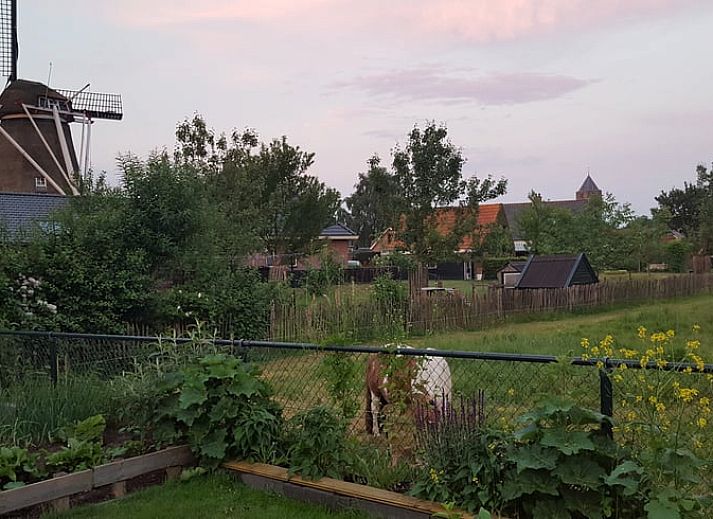 Guest house 553406 - Holiday property Noordwest Overijssel - Vakantiehuisje in Zalk