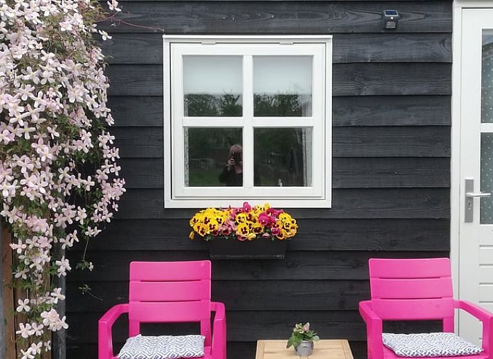 Guest house 553406 - Holiday property Noordwest Overijssel - Vakantiehuisje in Zalk