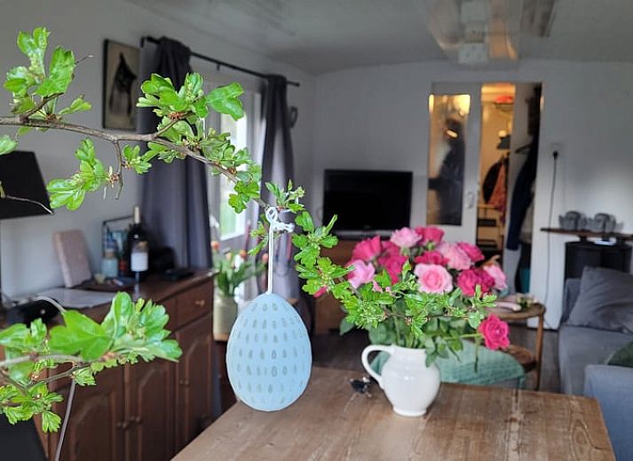 Ferienhaus in Basse, im Nordwesten von Overijssel, umgeben von gruener Natur und bunten Blumentoepfen.