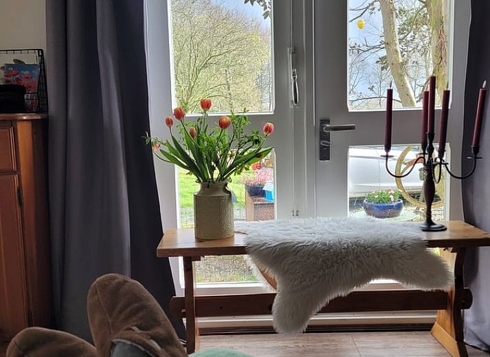 Ferienhaus in Basse, im Nordwesten von Overijssel, umgeben von gruener Natur und bunten Blumentoepfen.