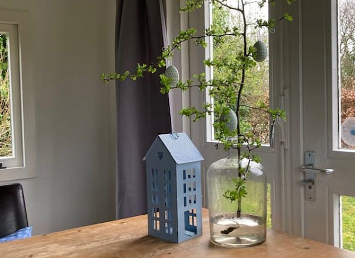 Ferienhaus in Basse, im Nordwesten von Overijssel, umgeben von gruener Natur und bunten Blumentoepfen.