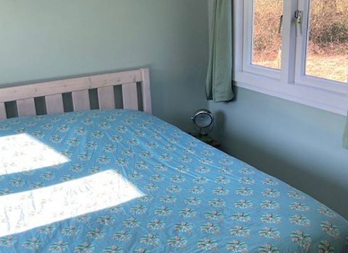 Aussicht auf gruene Wiesen vom Ferienhaus in Basse, Nordwest Overijssel.