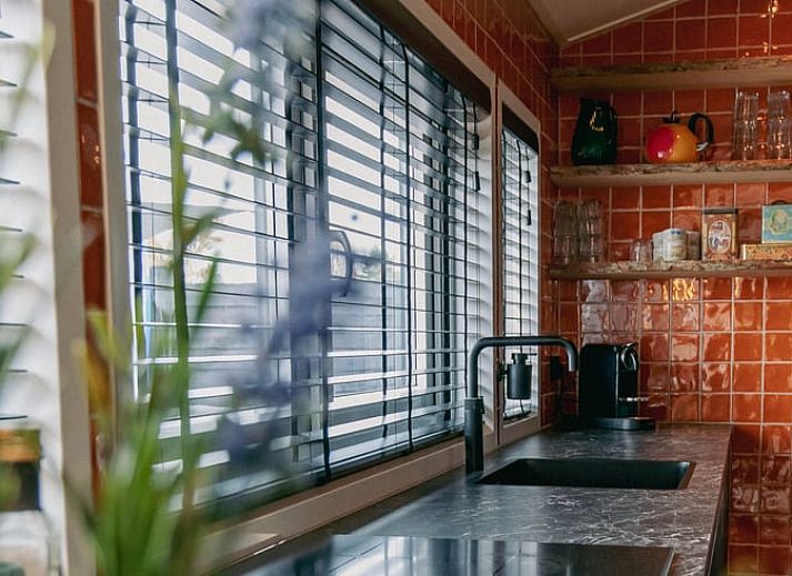 Guest house 560421 - Holiday property Utrecht noord - Vakantiehuis in Vinkeveen